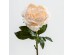 PEONY MIKADO ΛΟΥΛΟΥΔΙ ΤΕΧΝΗΤΟ 72cm POLYESTER ΣΟΜΟΝ ΠΡΑΣΙΝΟ PEONY MIKADO ΛΟΥΛΟΥΔΙ ΤΕΧΝΗΤΟ 72cm POLYESTER ΣΟΜΟΝ ΠΡΑΣΙΝΟ