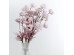 PEONY ΛΟΥΛΟΥΔΙ ΤΕΧΝΗΤΟ 82cm POLYESTER ΡΟΖ ΓΚΡΙ PEONY ΛΟΥΛΟΥΔΙ ΤΕΧΝΗΤΟ 82cm POLYESTER ΡΟΖ ΓΚΡΙ