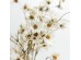 SKY COSMOS ΛΟΥΛΟΥΔΙ ΤΕΧΝΗΤΟ 79cm POLYESTER ΜΠΕΖ ΠΡΑΣΙΝΟ SKY COSMOS ΛΟΥΛΟΥΔΙ ΤΕΧΝΗΤΟ 79cm POLYESTER ΜΠΕΖ ΠΡΑΣΙΝΟ