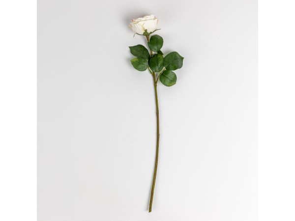 CABBAGE ROSE ΛΟΥΛΟΥΔΙ ΤΕΧΝΗΤΟ 66cm POLYESTER ΛΕΥΚΟ ΡΟΖ ΠΡΑΣΙΝΟ CABBAGE ROSE ΛΟΥΛΟΥΔΙ ΤΕΧΝΗΤΟ 66cm POLYESTER ΛΕΥΚΟ ΡΟΖ ΠΡΑΣΙΝΟ