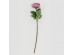 CABBAGE ROSE ΛΟΥΛΟΥΔΙ ΤΕΧΝΗΤΟ 66cm POLYESTER ΡΟΖ ΦΟΥΞΙΑ ΠΡΑΣΙΝΟ CABBAGE ROSE ΛΟΥΛΟΥΔΙ ΤΕΧΝΗΤΟ 66cm POLYESTER ΡΟΖ ΦΟΥΞΙΑ ΠΡΑΣΙΝΟ