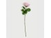 BEAUTY ROSE ΛΟΥΛΟΥΔΙ ΤΕΧΝΗΤΟ 67cm POLYESTER ΡΟΖ ΠΡΑΣΙΝΟ BEAUTY ROSE ΛΟΥΛΟΥΔΙ ΤΕΧΝΗΤΟ 67cm POLYESTER ΡΟΖ ΠΡΑΣΙΝΟ