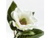 MAGNOLIA ΛΟΥΛΟΥΔΙ ΤΕΧΝΗΤΟ 71cm POLYESTER ΜΠΕΖ ΠΡΑΣΙΝΟ