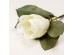 MAGNOLIA ΛΟΥΛΟΥΔΙ ΤΕΧΝΗΤΟ 71cm POLYESTER ΜΠΕΖ ΠΡΑΣΙΝΟ MAGNOLIA ΛΟΥΛΟΥΔΙ ΤΕΧΝΗΤΟ 71cm POLYESTER ΜΠΕΖ ΠΡΑΣΙΝΟ