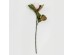 MAGNOLIA ΛΟΥΛΟΥΔΙ ΤΕΧΝΗΤΟ 73cm POLYESTER ΡΟΖ ΛΕΥΚΟ ΠΡΑΣΙΝΟ MAGNOLIA ΛΟΥΛΟΥΔΙ ΤΕΧΝΗΤΟ 73cm POLYESTER ΡΟΖ ΛΕΥΚΟ ΠΡΑΣΙΝΟ