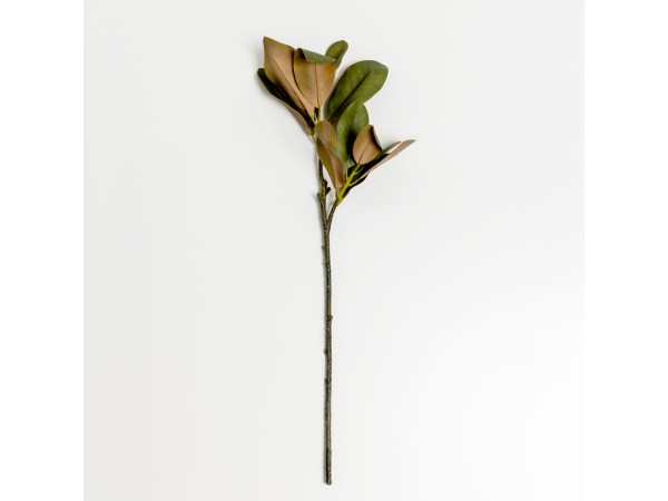 MAGNOLIA LEAVES ΛΟΥΛΟΥΔΙ ΤΕΧΝΗΤΟ 83cm POLYESTER ΠΡΑΣΙΝΟ MAGNOLIA LEAVES ΛΟΥΛΟΥΔΙ ΤΕΧΝΗΤΟ 83cm POLYESTER ΠΡΑΣΙΝΟ