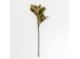 MAGNOLIA LEAVES ΛΟΥΛΟΥΔΙ ΤΕΧΝΗΤΟ 83cm POLYESTER ΠΡΑΣΙΝΟ MAGNOLIA LEAVES ΛΟΥΛΟΥΔΙ ΤΕΧΝΗΤΟ 83cm POLYESTER ΠΡΑΣΙΝΟ