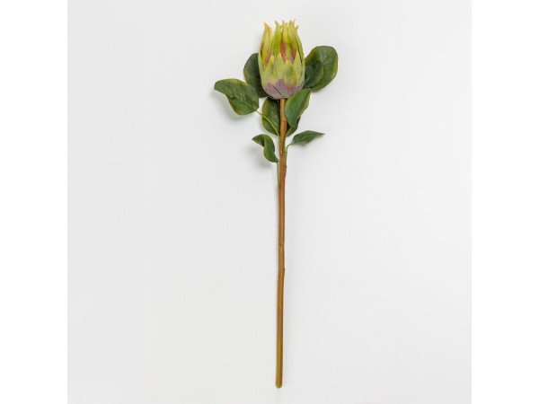 PROTEAX ΛΟΥΛΟΥΔΙ ΤΕΧΝΗΤΟ 68cm POLYESTER ΠΡΑΣΙΝΟ PROTEAX ΛΟΥΛΟΥΔΙ ΤΕΧΝΗΤΟ 68cm POLYESTER ΠΡΑΣΙΝΟ