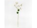 LANTERN FLOWER ΛΟΥΛΟΥΔΙ ΤΕΧΝΗΤΟ 90cm POLYESTER ΜΠΕΖ ΠΡΑΣΙΝΟ