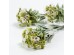 SWEET ALYSSUM ΛΟΥΛΟΥΔΙ ΤΕΧΝΗΤΟ 78cm POLYESTER ΛΕΥΚΟ ΜΩΒ ΠΡΑΣΙΝΟ