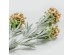 SWEET ALYSSUM ΛΟΥΛΟΥΔΙ ΤΕΧΝΗΤΟ 78cm POLYESTER ΣΟΜΟΝ ΜΩΒ ΠΡΑΣΙΝΟ