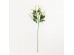 SALVIA ΚΛΑΔΙ ΤΕΧΝΗΤΟ 83cm POLYESTER ΠΡΑΣΙΝΟ SALVIA ΚΛΑΔΙ ΤΕΧΝΗΤΟ 83cm POLYESTER ΠΡΑΣΙΝΟ