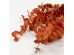 EUCALYPTUS ΚΛΑΔΙ ΤΕΧΝΗΤΟ 88cm POLYESTER TERRACOTTA EUCALYPTUS ΚΛΑΔΙ ΤΕΧΝΗΤΟ 88cm POLYESTER TERRACOTTA