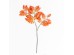 CINERARIA ΚΛΑΔΙ ΤΕΧΝΗΤΟ 70cm POLYESTER TERRACOTTA CINERARIA ΚΛΑΔΙ ΤΕΧΝΗΤΟ 70cm POLYESTER TERRACOTTA