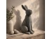 ROGER ΔΙΑΚΟΣΜΗΤΙΚΟ ΛΑΓΟΣ 21x16x40cm POLYRESIN ΓΚΡΙ ROGER ΔΙΑΚΟΣΜΗΤΙΚΟ ΛΑΓΟΣ 21x16x40cm POLYRESIN ΓΚΡΙ