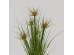 SUNNY FLOWER ΦΥΤΟ ΤΕΧΝΗΤΟ ΣΕ ΓΛΑΣΤΡΑ 70cm PVC ΠΡΑΣΙΝΟ SUNNY FLOWER ΦΥΤΟ ΤΕΧΝΗΤΟ ΣΕ ΓΛΑΣΤΡΑ 70cm PVC ΠΡΑΣΙΝΟ