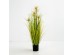 SUNNY FLOWER ΦΥΤΟ ΤΕΧΝΗΤΟ ΣΕ ΓΛΑΣΤΡΑ 90cm PVC ΠΡΑΣΙΝΟ SUNNY FLOWER ΦΥΤΟ ΤΕΧΝΗΤΟ ΣΕ ΓΛΑΣΤΡΑ 90cm PVC ΠΡΑΣΙΝΟ