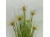 SUNNY FLOWER ΦΥΤΟ ΤΕΧΝΗΤΟ ΣΕ ΓΛΑΣΤΡΑ 90cm PVC ΠΡΑΣΙΝΟ SUNNY FLOWER ΦΥΤΟ ΤΕΧΝΗΤΟ ΣΕ ΓΛΑΣΤΡΑ 90cm PVC ΠΡΑΣΙΝΟ