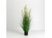 OAT GRASS ΦΥΤΟ ΤΕΧΝΗΤΟ ΣΕ ΓΛΑΣΤΡΑ 120cm PVC ΠΡΑΣΙΝΟ OAT GRASS ΦΥΤΟ ΤΕΧΝΗΤΟ ΣΕ ΓΛΑΣΤΡΑ 120cm PVC ΠΡΑΣΙΝΟ