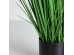 OAT GRASS ΦΥΤΟ ΤΕΧΝΗΤΟ ΣΕ ΓΛΑΣΤΡΑ 120cm PVC ΠΡΑΣΙΝΟ OAT GRASS ΦΥΤΟ ΤΕΧΝΗΤΟ ΣΕ ΓΛΑΣΤΡΑ 120cm PVC ΠΡΑΣΙΝΟ