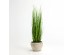 PURE GRASS ΦΥΤΟ ΤΕΧΝΗΤΟ ΣΕ ΓΛΑΣΤΡΑ 90cm PVC ΠΡΑΣΙΝΟ