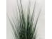 DARK PURE GRASS ΦΥΤΟ ΤΕΧΝΗΤΟ ΣΕ ΓΛΑΣΤΡΑ 90cm PVC ΠΡΑΣΙΝΟ ΣΚΟΥΡΟ DARK PURE GRASS ΦΥΤΟ ΤΕΧΝΗΤΟ ΣΕ ΓΛΑΣΤΡΑ 90cm PVC ΠΡΑΣΙΝΟ ΣΚΟΥΡΟ