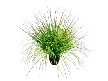 BENT GRASS ΦΥΤΟ ΤΕΧΝΗΤΟ ΣΕ ΓΛΑΣΤΡΑ 90cm PVC ΠΡΑΣΙΝΟ