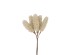 AROMA ESSENCE ΛΟΥΛΟΥΔΙ ΤΕΧΝΗΤΟ 26cm FOAM ΜΠΕΖ PVC