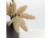 AROMA ESSENCE ΛΟΥΛΟΥΔΙ ΤΕΧΝΗΤΟ 33cm FOAM ΜΠΕΖ ΠΡΑΣΙΝΟ PVC AROMA ESSENCE ΛΟΥΛΟΥΔΙ ΤΕΧΝΗΤΟ 33cm FOAM ΜΠΕΖ ΠΡΑΣΙΝΟ PVC