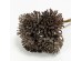 AROMA BLOSSOMS ΛΟΥΛΟΥΔΙ ΤΕΧΝΗΤΟ 22cm FOAM ΚΑΦΕ PVC AROMA BLOSSOMS ΛΟΥΛΟΥΔΙ ΤΕΧΝΗΤΟ 22cm FOAM ΚΑΦΕ PVC