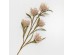 AROMA BLOSSOMS ΛΟΥΛΟΥΔΙ ΤΕΧΝΗΤΟ 66cm FOAM ΚΑΦΕ ΠΡΑΣΙΝΟ PVC