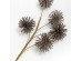 AROMA BLOSSOMS ΛΟΥΛΟΥΔΙ ΤΕΧΝΗΤΟ 70cm FOAM ΚΑΦΕ PVC AROMA BLOSSOMS ΛΟΥΛΟΥΔΙ ΤΕΧΝΗΤΟ 70cm FOAM ΚΑΦΕ PVC