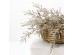 AROMA BLOSSOMS ΚΛΑΔΙ ΤΕΧΝΗΤΟ 72cm FOAM ΚΑΦΕ PVC AROMA BLOSSOMS ΚΛΑΔΙ ΤΕΧΝΗΤΟ 72cm FOAM ΚΑΦΕ PVC