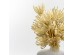 AROMA DELIGHTS ΛΟΥΛΟΥΔΙ ΤΕΧΝΗΤΟ 70cm FOAM ΚΡΕΜ PVC AROMA DELIGHTS ΛΟΥΛΟΥΔΙ ΤΕΧΝΗΤΟ 70cm FOAM ΚΡΕΜ PVC