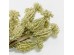 AROMA DELIGHTS ΛΟΥΛΟΥΔΙ ΤΕΧΝΗΤΟ 23cm FOAM ΚΡΕΜ PVC
