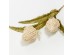 AROMA DELIGHTS ΛΟΥΛΟΥΔΙ ΤΕΧΝΗΤΟ 70cm FOAM ΚΡΕΜ ΠΡΑΣΙΝΟ PVC