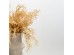 AROMA DELIGHTS ΚΛΑΔΙ ΤΕΧΝΗΤΟ 75cm FOAM ΚΡΕΜ PVC AROMA DELIGHTS ΚΛΑΔΙ ΤΕΧΝΗΤΟ 75cm FOAM ΚΡΕΜ PVC