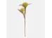 AROMA BLOOMS ΛΟΥΛΟΥΔΙ ΤΕΧΝΗΤΟ 57cm FOAM ΚΙΤΡΙΝΟ PVC
