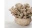 AROMA BLISS ΛΟΥΛΟΥΔΙ ΤΕΧΝΗΤΟ 23cm FOAM ΡΟΖ PVC AROMA BLISS ΛΟΥΛΟΥΔΙ ΤΕΧΝΗΤΟ 23cm FOAM ΡΟΖ PVC