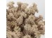 AROMA BLISS ΛΟΥΛΟΥΔΙ ΤΕΧΝΗΤΟ 23cm FOAM ΡΟΖ PVC AROMA BLISS ΛΟΥΛΟΥΔΙ ΤΕΧΝΗΤΟ 23cm FOAM ΡΟΖ PVC