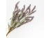 AROMA CHARM ΛΟΥΛΟΥΔΙ ΤΕΧΝΗΤΟ 70cm FOAM ΜΩΒ ΠΡΑΣΙΝΟ PVC AROMA CHARM ΛΟΥΛΟΥΔΙ ΤΕΧΝΗΤΟ 70cm FOAM ΜΩΒ ΠΡΑΣΙΝΟ PVC