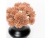 AROMA PARADISE ΛΟΥΛΟΥΔΙ ΤΕΧΝΗΤΟ ΜΠΟΥΚΕΤΟ 22cm FOAM ΚΟΡΑΛΛΙ PVC