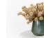 AROMA PETALS ΛΟΥΛΟΥΔΙ ΤΕΧΝΗΤΟ 23cm FOAM ΡΟΔΑΚΙΝΙ PVC AROMA PETALS ΛΟΥΛΟΥΔΙ ΤΕΧΝΗΤΟ 23cm FOAM ΡΟΔΑΚΙΝΙ PVC
