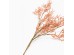 AROMA PETALS ΚΛΑΔΙ ΤΕΧΝΗΤΟ 75cm FOAM ΡΟΔΑΚΙΝΙ PVC AROMA PETALS ΚΛΑΔΙ ΤΕΧΝΗΤΟ 75cm FOAM ΡΟΔΑΚΙΝΙ PVC