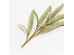AROMA WISHPER ΛΟΥΛΟΥΔΙ ΤΕΧΝΗΤΟ 74cm FOAM ΠΡΑΣΙΝΟ ΠΡΑΣΙΝΟ PVC AROMA WISHPER ΛΟΥΛΟΥΔΙ ΤΕΧΝΗΤΟ 74cm FOAM ΠΡΑΣΙΝΟ ΠΡΑΣΙΝΟ PVC