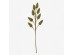 AROMA WISHPER ΛΟΥΛΟΥΔΙ ΤΕΧΝΗΤΟ 63cm FOAM ΠΡΑΣΙΝΟ PVC AROMA WISHPER ΛΟΥΛΟΥΔΙ ΤΕΧΝΗΤΟ 63cm FOAM ΠΡΑΣΙΝΟ PVC