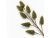 AROMA WISHPER ΛΟΥΛΟΥΔΙ ΤΕΧΝΗΤΟ 63cm FOAM ΠΡΑΣΙΝΟ PVC AROMA WISHPER ΛΟΥΛΟΥΔΙ ΤΕΧΝΗΤΟ 63cm FOAM ΠΡΑΣΙΝΟ PVC