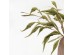 AROMA WISHPER ΛΟΥΛΟΥΔΙ ΤΕΧΝΗΤΟ 80cm FOAM ΠΡΑΣΙΝΟ ΠΡΑΣΙΝΟ PVC AROMA WISHPER ΛΟΥΛΟΥΔΙ ΤΕΧΝΗΤΟ 80cm FOAM ΠΡΑΣΙΝΟ ΠΡΑΣΙΝΟ PVC
