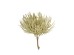 AROMA WISHPER ΛΟΥΛΟΥΔΙ ΤΕΧΝΗΤΟ ΜΠΟΥΚΕΤΟ 22cm FOAM ΠΡΑΣΙΝΟ PVC AROMA WISHPER ΛΟΥΛΟΥΔΙ ΤΕΧΝΗΤΟ ΜΠΟΥΚΕΤΟ 22cm FOAM ΠΡΑΣΙΝΟ PVC