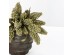 AROMA WISHPER ΛΟΥΛΟΥΔΙ ΤΕΧΝΗΤΟ 33cm FOAM ΠΡΑΣΙΝΟ ΠΡΑΣΙΝΟ PVC AROMA WISHPER ΛΟΥΛΟΥΔΙ ΤΕΧΝΗΤΟ 33cm FOAM ΠΡΑΣΙΝΟ ΠΡΑΣΙΝΟ PVC